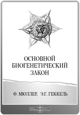 Кракен современный маркетплейс