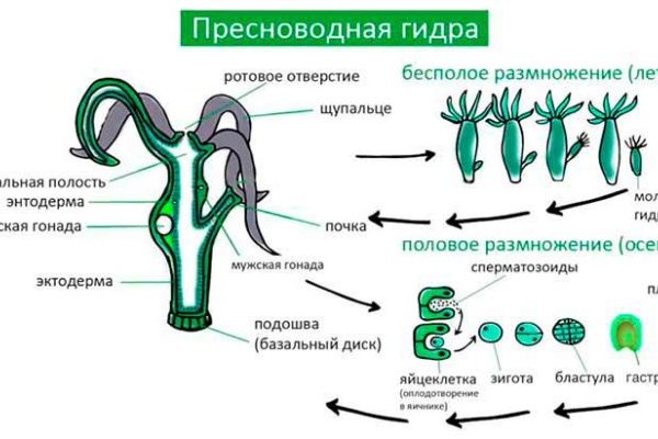Кракен ссылка на сайт тор