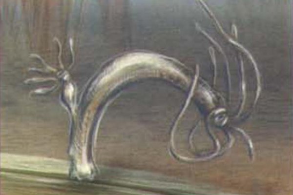 Kraken 14 at