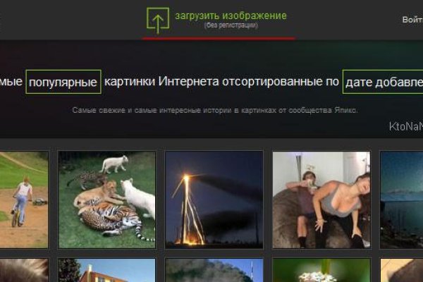 Ссылка на кракен свежая