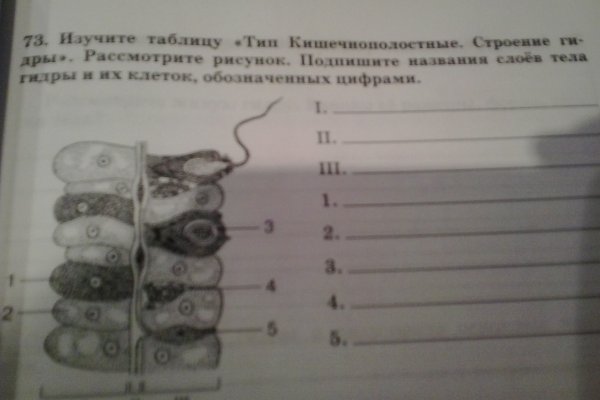 Ссылки на сайты даркнета
