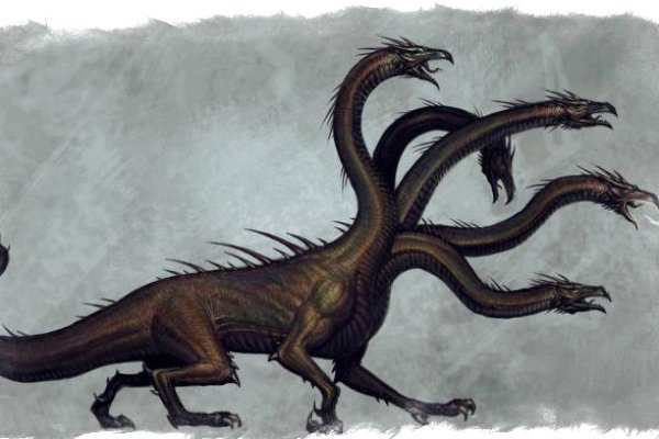 Kraken forum