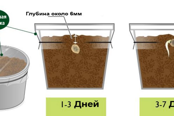 Как зайти на гидру через тор браузер
