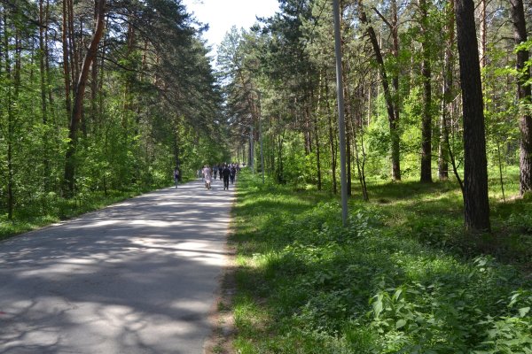 Кракен сайт